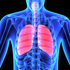 Read more about the article Bronchitis or Pneumonia or Asthma? A Clear Guide to Telling Them Apart