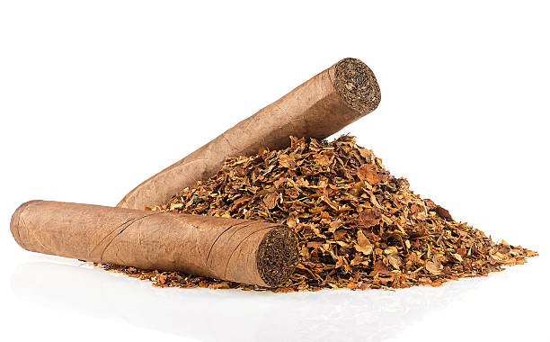 Read more about the article Powerful Shocking 7 Ways Tobacco Damages Fertility and What Science Says
