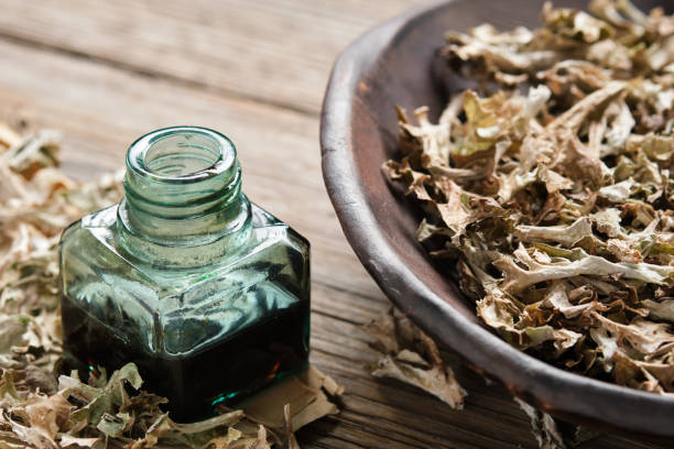 Read more about the article Icelandic Moss Throat Syrup: The Natural Remedy Icelanders Swear By