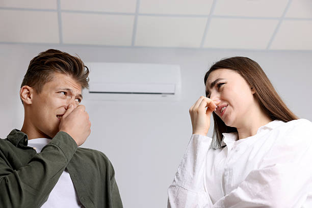 Read more about the article Why Chronic Cough Is Rising in High-Pollution Asian Megacities (China & Japan Cases)