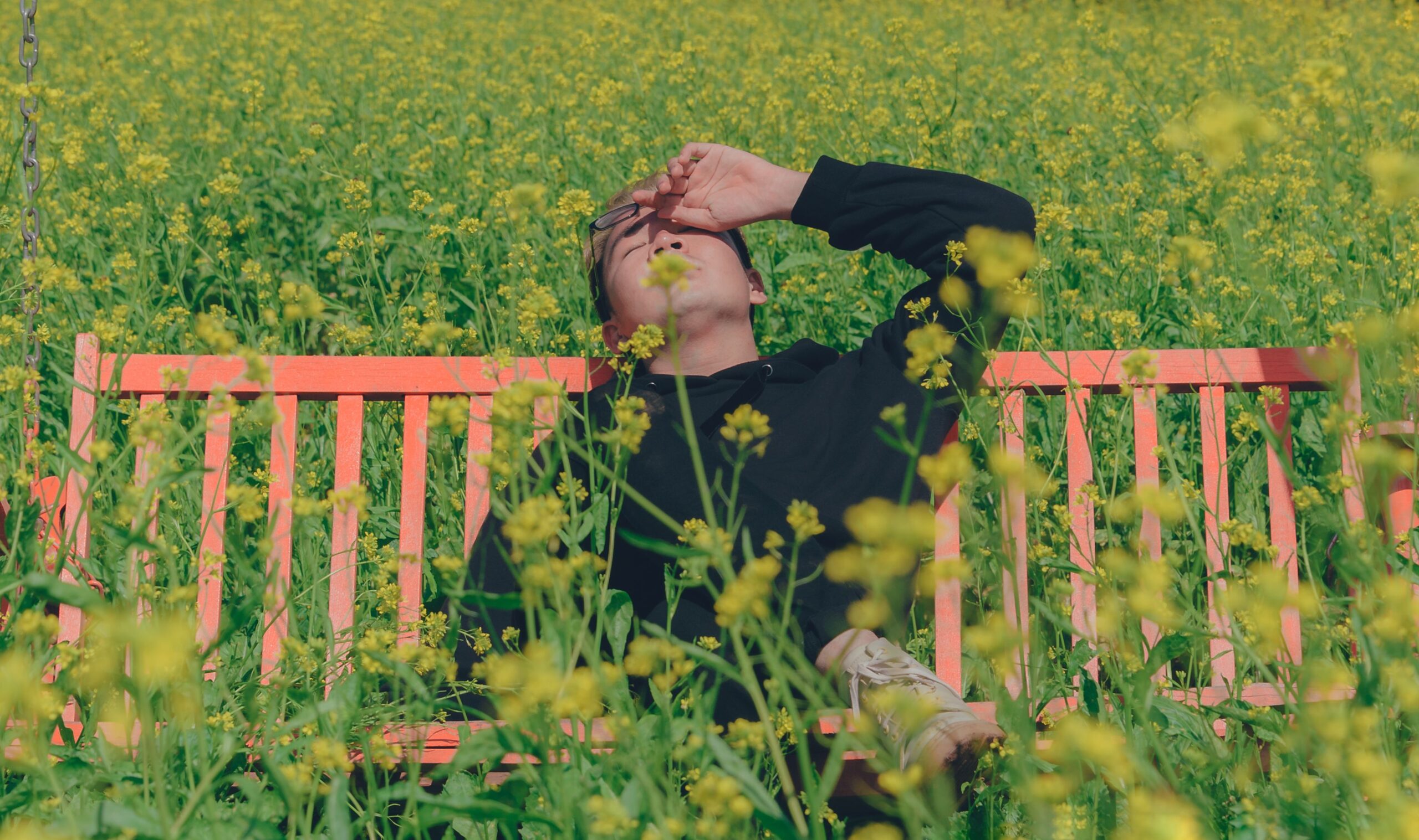 You are currently viewing Relieve Hay Fever Fast: How Long Does It Take? 7 Effective Tips Against Pollen Allergies